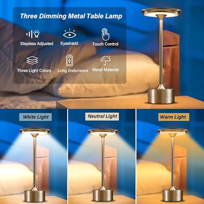 Portable Metal Desk Lamp, 3-Levels Brightness Metal LED Table Lamp, 3 Color Touch Control Rechargeable Lamp, Night Light, Bedside Lamp,Dining Room Lamp (Silver)