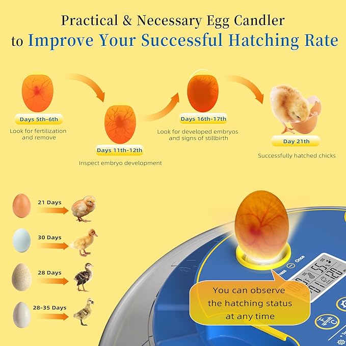 18 Chicken Egg Incubators for Hatching Eggs with Automatic Egg Turning and Humidity Control, High Hatch Rate Poultry Incubator for Chicken, Ducks, Goose, Pigeon, Quail, Ideal for Home, Farm, School