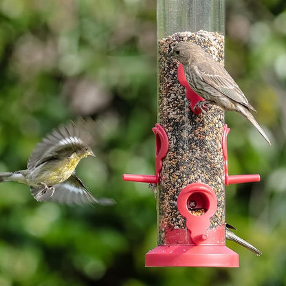 Kingsyard 2 Pack Tube Bird Feeders for Outdoors Hanging, Premium Hard Plastic Bird Feeder with 6 Feeding Ports, Weatherproof & Steel Hanger, Attracting for Wild Birds (Red)