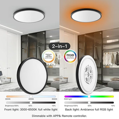 TALOYA Smart Ceiling Light Flush Mount LED WiFi, Compatible with Alexa Google Home, Black Dimmable Low Profile Ambient Light Fixture for Bedroom Living Room,12 Inch 24W