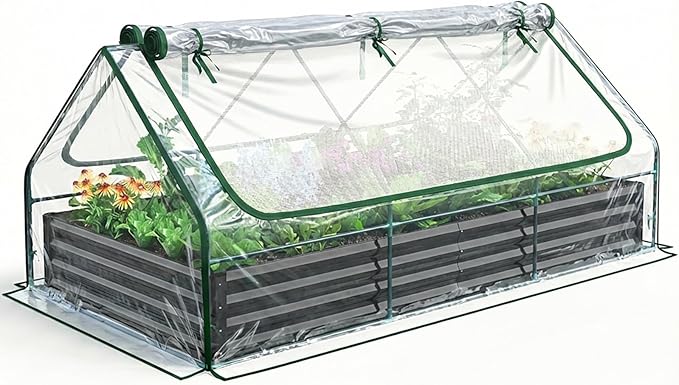 Quictent Raised Garden Bed Galvanized Raised Beds for Gardening Vegetables with Cover 8x4x1 ft Metal Planter Box Outdoor Use (Clear)