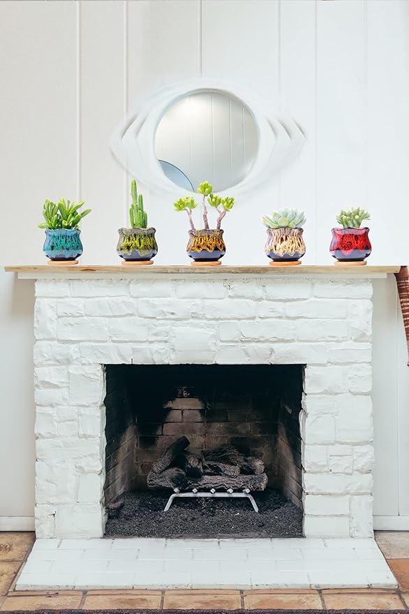 Cute Ceramic Succulent Garden Pots, Planter with Drainage and Attached Saucer, Set of 5 -Plants Not Included (Fambe)
