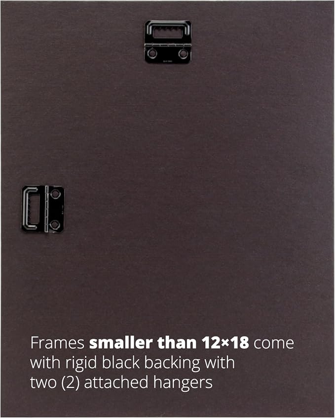 Craig Frames 8x12 Rustic White Picture Frame for Posters and Photos | Displays photos and prints behind clear glass, ready to hang, made in the USA