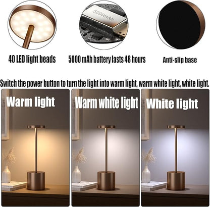 2Pack Cordless Table Lamp, Rechargeable LED Battery 5000mAh Metal USB Portable Powered Desk Lamp, 3 Levels Brightness Light for Restaurants Outdoor (2 pack 10.25in Coffee)