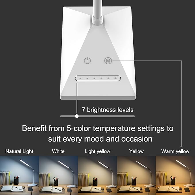 RAOYI LED Desk Lamp, 12W Dimmable Table Lamp Eye-Caring Reading Light with USB Charging Port Touch Control 5 Color Modes 6-Level Brightness Adjustable for Office Home Bedroom (White)