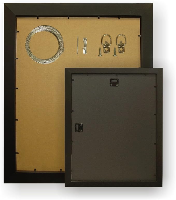 Craig Frames 8x12 Walnut Brown Picture Frame for Posters and Gallery Wall | Displays photos and prints behind clear glass, ready to hang, made in the USA