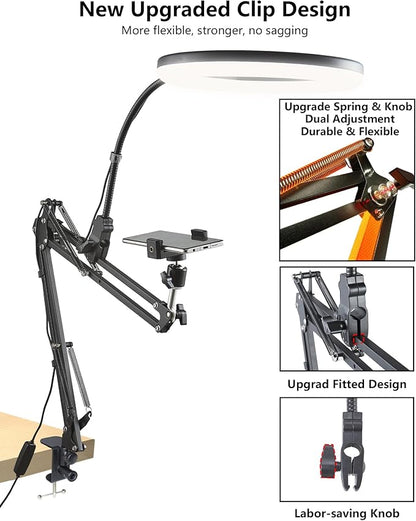 Zoom Lighting for Computer Video Conference, 10 Inch Ring Light with Stand for Video Recording, Working, Learning, Zoom Call, Webcam Laptop Light with Phone Holder for Podcast Live Streaming