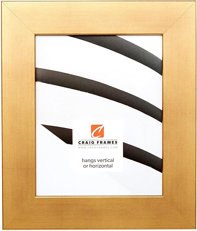 Craig Frames 24x36 Old World Gold Picture Frame for Posters and Photos | Lightweight shatter resistant acrylic facing with a rigid backing board, made in the USA