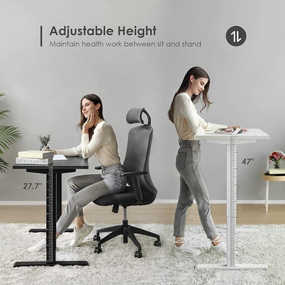 Sunon Sit Laptop Computer Writing Workstations with 3 Pre-Set and USB Port 48" for Home Office Smart Advanced Standing Desk, White