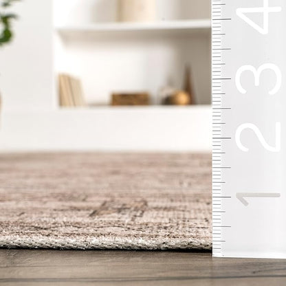 nuLOOM Amie Persian Border Machine Washable Ultra Thin Area Rug, 4' x 6', Light Brown
