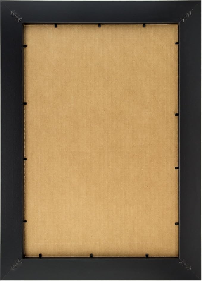 Craig Frames 15177483250 16 by 24-Inch Picture Frame, Solid Wood, 2.25-Inch Wide, Honey Oak