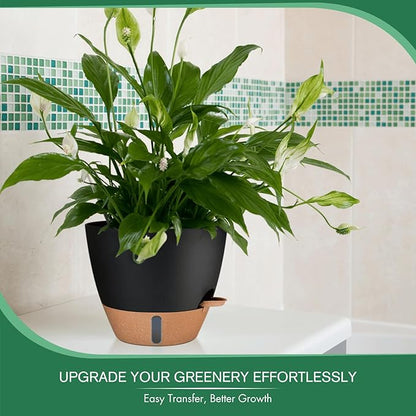 2 Pack 10 inch Plant Pots, PP Plastic Self Watering Plant Pot with Drainage and Tray for Indoor Outdoor Plants , Water Level Window & Reservoir Flower Pots Decorative Planter (Black, 10 Inch)
