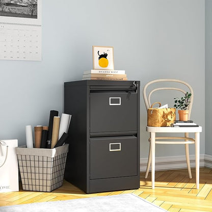 2 Drawer File Cabinet,Metal Vertical File Cabinets with Lock for Home Office,Heavy Duty Office Steel Filing Cabinet for Hanging Letters/Legal/A4, Assembly Required (Black)