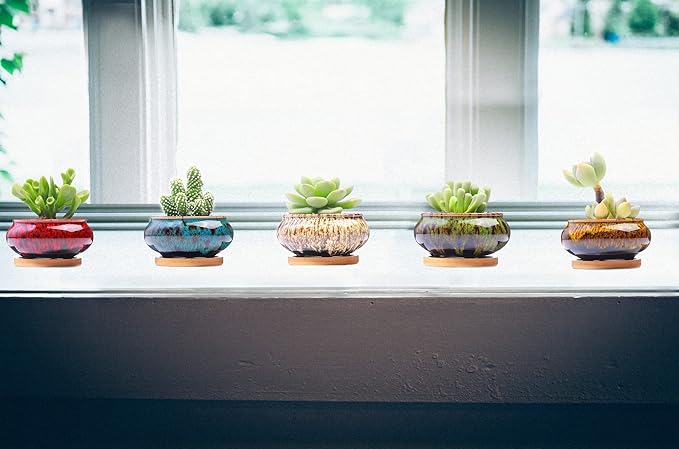 Cute Ceramic Succulent Garden Pots, Planter with Drainage and Attached Saucer, Set of 5 -Plants Not Included (Burner)