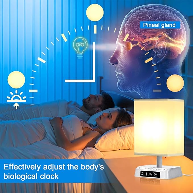 Nightstand Lamp Sound and Light Awakening Bioclock Adjustment lamp Sunrise Wake up lamp Built-in White Noise 3 Color Adjustable for Livingroom Bedroom Office Reading Working