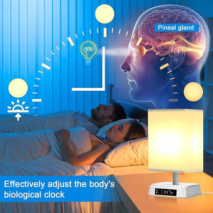 Nightstand Lamp Sound and Light Awakening Bioclock Adjustment lamp Sunrise Wake up lamp Built-in White Noise 3 Color Adjustable for Livingroom Bedroom Office Reading Working
