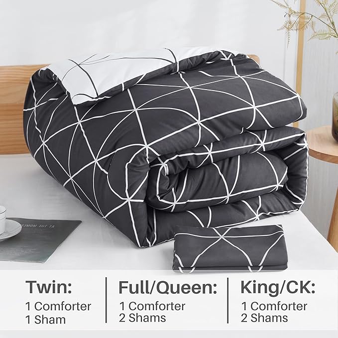 Black & White Comforter Bed in a Bag Queen for Kids Adults, 3Pcs Reversible Geometric Bedding Set with 2 Pillow Shams for All Seasons (Queen,90x90inches)