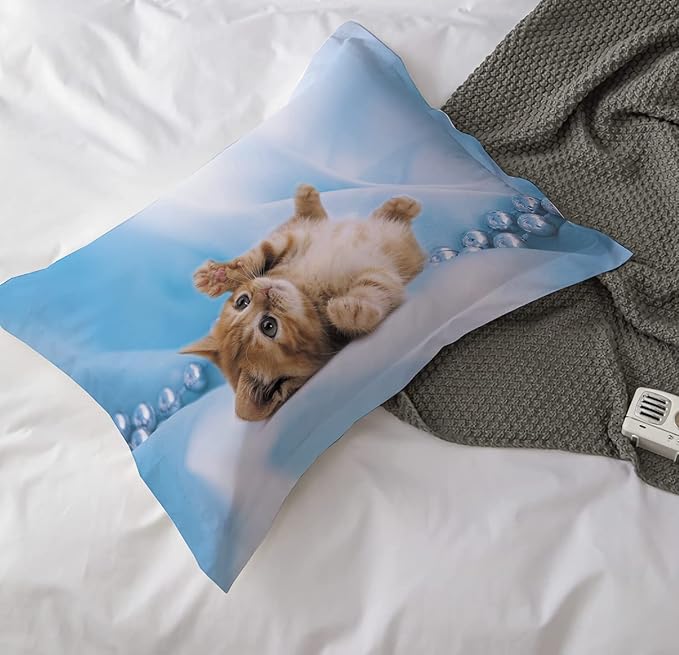Cat Comforter Set Queen Size for Kids Blue Cat 3Pcs Bedding Set for boys and Girls (1Summer Comforter+ 2 Pillowcases) Lovely Animal Pets Duvet Set