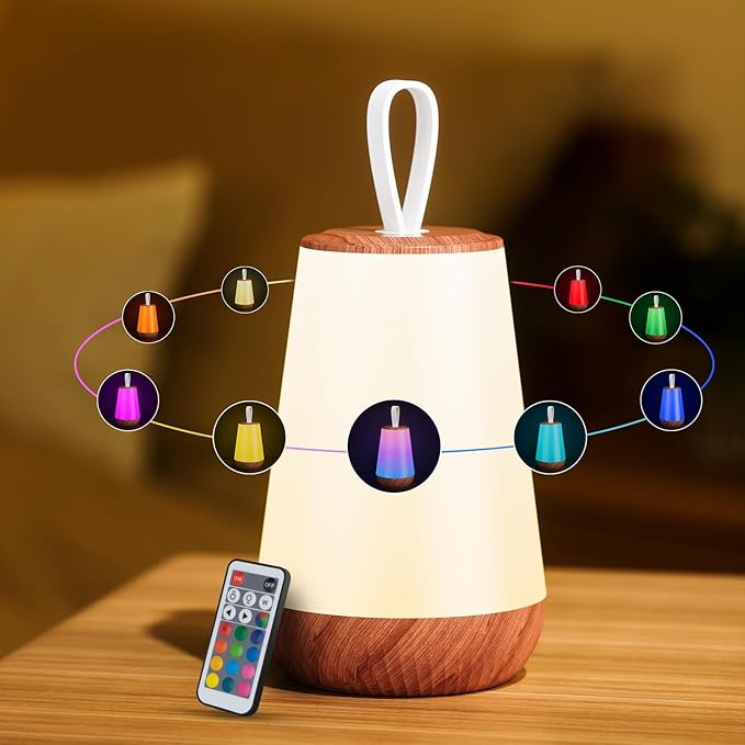 Dimmable Night Light Touch Lamp for Bedroom Rechargeable Remote Bedside Lamp Portable Hanging Table Lamp Changeable Warm White Light Perfect Toy Gift for Kids Adults