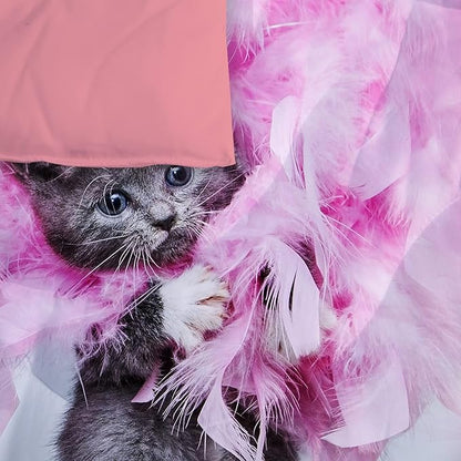 Cat Comforter Twin, Cat Bedding Set Twin Size for Kids, Cat Comforter Set for Girls and Boys, Pink Feathers Black Cat 3Pcs(1Summer Comforter+ 2 Pillowcases) Lovely Animal Pets Duvet Set