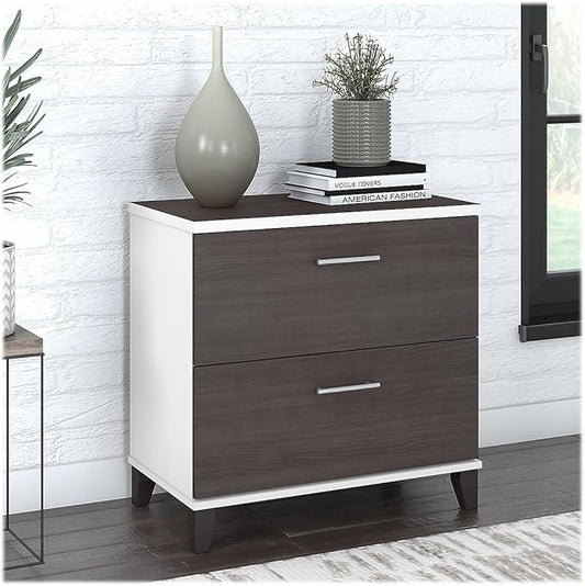 Bush Furniture Somerset 2 Drawer Lateral File Cabinet | Letter, Legal, and A4-size Document Storage for Home Office, 30W x 17D x 29H, White and Storm