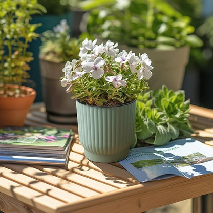 T4U 4 Inch Plant Pots Self Watering, 6 Pack African Violet Pots, Small Plant Pots for Plants, Small Indoor Plant Pot, Self Watering Planter for African Violet, Succulents (6 Pack 4" Pots, Green)