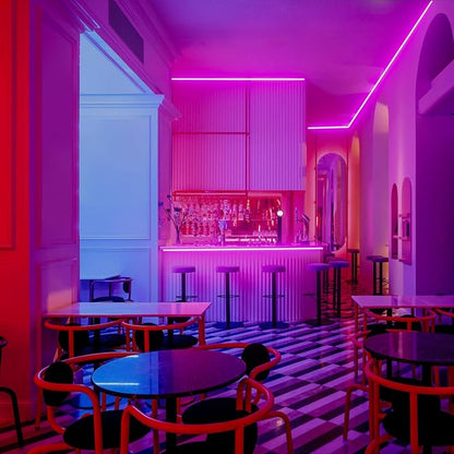 GZBtech Flexible LED Neon Rope Lights 33FT,AC 110-120V Waterproof Strip Light, 120 LEDs/M Cuttable Connectable Neon Lighting for Indoor Outdoor Home Decor/Commercial Building Use-Pink 10M