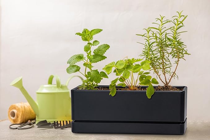 D'vine Dev 12 Inch Window Box Planter, Rectangle Plastic Herb Planter with Drainage Holes and Saucer, Indoor Succulent Cactus Vegetable Pot for Windowsill, Garden Balcony, Black, Set of 1, 76-X-B-1