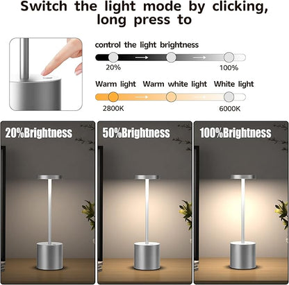 2Pack Cordless Table Lamp, Rechargeable LED Battery 5000mAh Metal USB Portable Powered Desk Lamp, 3 Levels Brightness Light for Restaurants Outdoor (2pack 10.25in Silver)