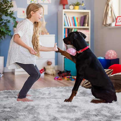 YOBATH Fluffy Rugs for Living Room, Shag Area Rugs for Bedroom 4x6 Feet, Indoor Modern Bedside Rug for Kids Girls Boys Room, Shag Carpet for Dorm Nursery Room, Light Grey