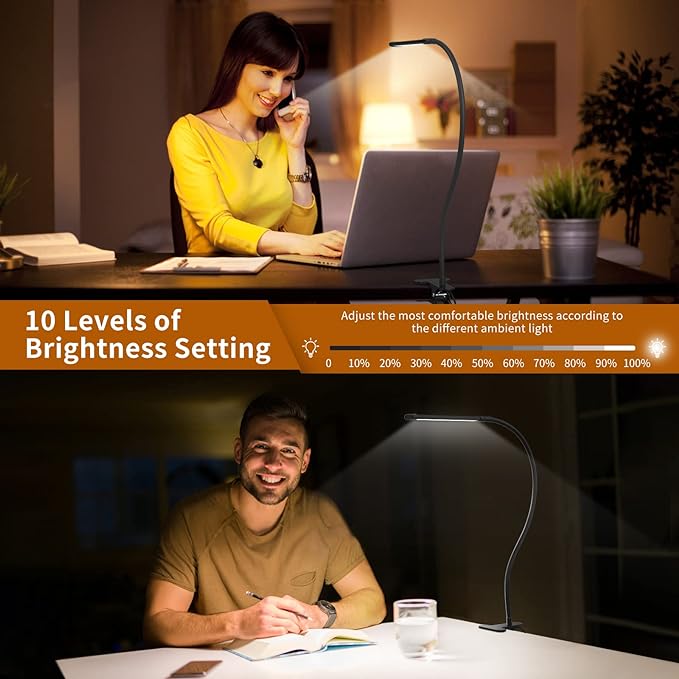 iZELL Desk Light, [2-Pack] LED Desk Lamp with Clamp [77 LEDs Light with 3 Color Modes & 10 Brightness Levels] Flexible Gooseneck LED Book Light, Easy Clip on Reading Light