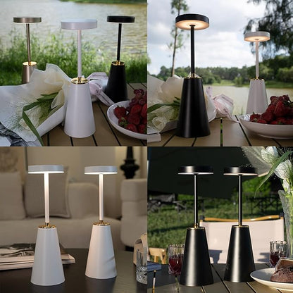 Touch Desk Lamps for Bedroom, Cordless Table Lamps for Nightstand with USB Rechargeable Battery, Dimmable Bedside Lamps Set of 2 & LED Desk Light for Bar Cafe Camping Office Living Room Outdoor
