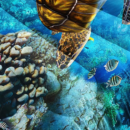 CVHOUSE Sea Turtle Comforter Set,Ocean Sea Turtle Bedding Set for Kids Teens,Ocean Sea Turtle Comforter Sea Turtle Duvet Set Room Decor Quilt Set Twin Size
