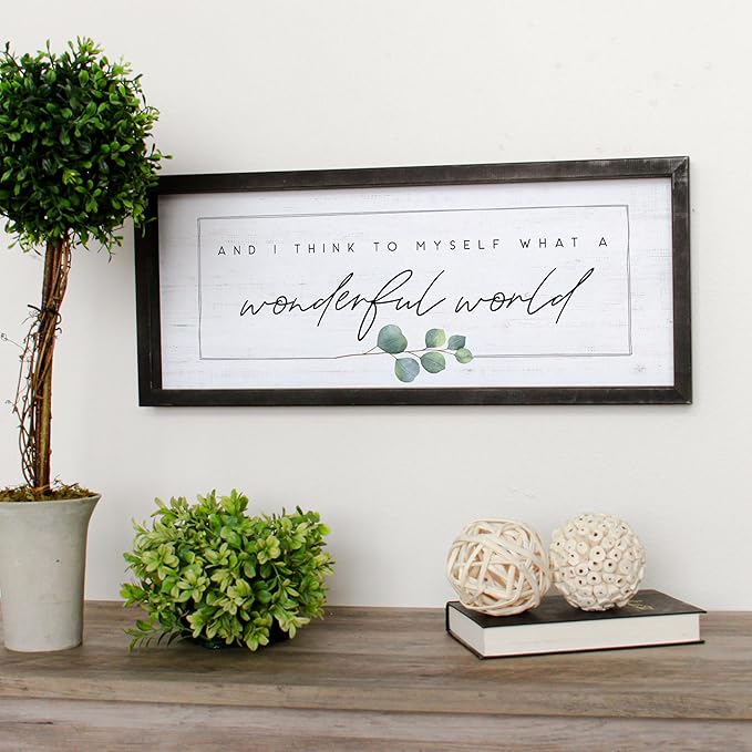 Simply Said, INC Farmhouse Frames What a Wonderful World Wooden Sign, Rustic Framed Wall Art, Inspirational Farmhouse Home Decor, 10 x 24 Inch