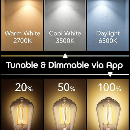Geeni Smart Light Bulb - Alexa and Google Home Compatible, Tunable White LED Programmable and Dimmable WiFi Light Bulb, App Controlled (ST21-4 Pack)