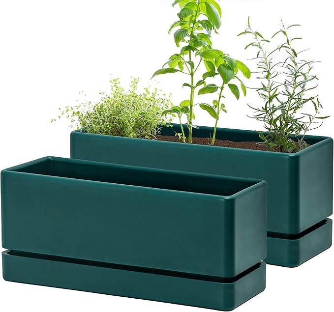 D'vine Dev 12 Inch Window Box Planter, Rectangle Plastic Herb Planter with Drainage Holes and Saucer, Indoor Succulent Cactus Vegetable Pot for Windowsill, Garden Balcony, Green, Set of 2, 76-X-C-2