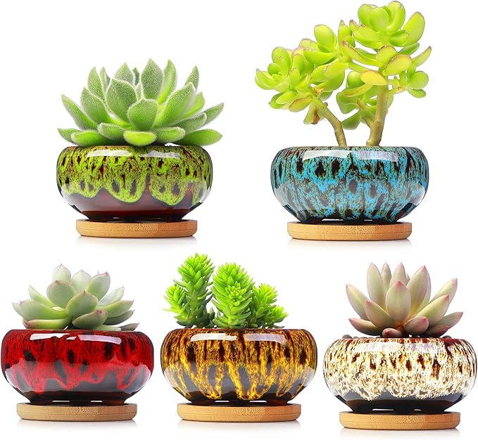 Cute Ceramic Succulent Garden Pots, Planter with Drainage and Attached Saucer, Set of 5 -Plants Not Included (Vivid Colors)