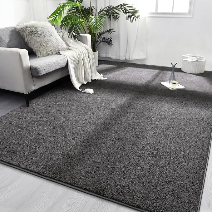Area Rugs for Bedroom Living Room, 4x6 Dark Grey Super Soft Comfy Thickened Memory-Foam Indoor Carpets, Modern Aesthetic Minimalist Carpet for Boys Girls Adults Apartment Nursery Home Décor