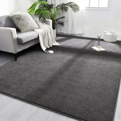 Area Rugs for Bedroom Living Room, 4x6 Dark Grey Super Soft Comfy Thickened Memory-Foam Indoor Carpets, Modern Aesthetic Minimalist Carpet for Boys Girls Adults Apartment Nursery Home Décor