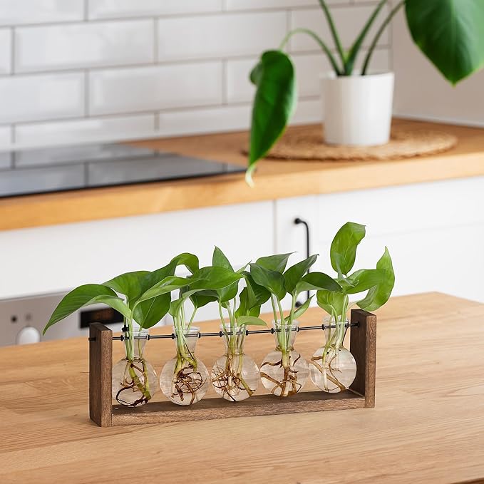 YIBOT Plants Propagation Stations,Plant Terrarium with Wooden Stand,Wall Hanging Glass Planter Plant Propagation Vase for Indoor Office Home Garden Decor Plant Lover Gifts for Women-5 Bulbs