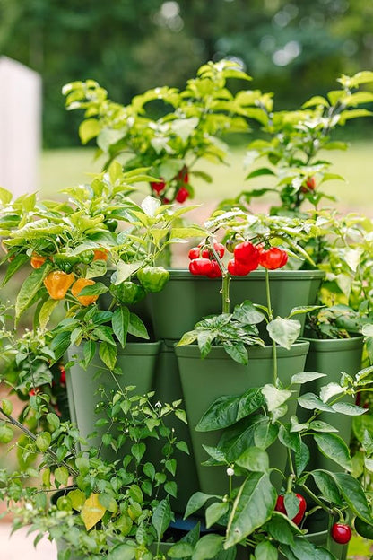 Greenstalk Patented Large 5 Tier Vertical Garden Planter with Patented Internal Watering System Great for Growing a Variety of Strawberries, Vegetables, Herbs, & Flowers (Evergreen)
