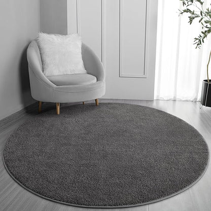 Round Area Rugs for Bedroom Living Room, 4x4 Dark Grey Super Soft Comfy Thickened Memory-Foam Indoor Circle Carpet, Modern Aesthetic Minimalist Carpet for Boys Girls Adults Nursery Home Décor