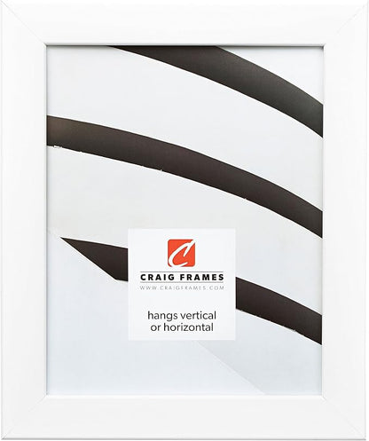 Craig Frames 26267 18 by 36-Inch Picture Frame, Smooth Wrap Finish, 1.26-Inch Wide, White Satin
