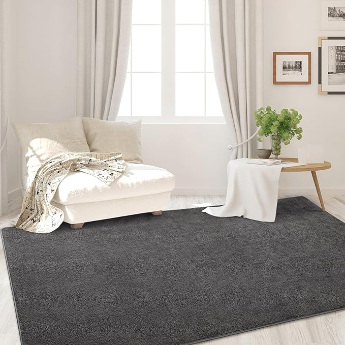 Area Rugs for Bedroom Living Room, 4x6 Dark Grey Super Soft Comfy Thickened Memory-Foam Indoor Carpets, Modern Aesthetic Minimalist Carpet for Boys Girls Adults Apartment Nursery Home Décor
