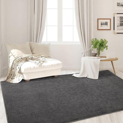 Area Rugs for Bedroom Living Room, 4x6 Dark Grey Super Soft Comfy Thickened Memory-Foam Indoor Carpets, Modern Aesthetic Minimalist Carpet for Boys Girls Adults Apartment Nursery Home Décor
