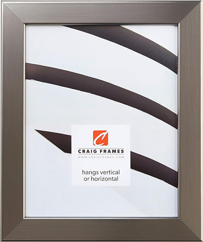 Craig Frames Bauhaus 125, 12x18 Picture Frame, Stainless Steel Gray