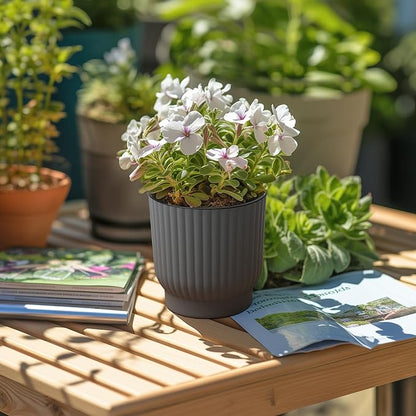 T4U 4 Inch Plant Pots Self Watering, 6 Pack African Violet Pots, Small Plant Pots for Plants, Small Indoor Plant Pot, Self Watering Planter for African Violet, Succulents (6 Pack 4" Pots, Gray)