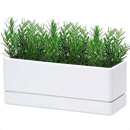D'vine Dev 12 Inch Window Box Planter, Rectangle Plastic Herb Planter with Drainage Holes and Saucer, Indoor Succulent Cactus Vegetable Pot for Windowsill, Garden Balcony, White, Set of 1, 76-X-A-1