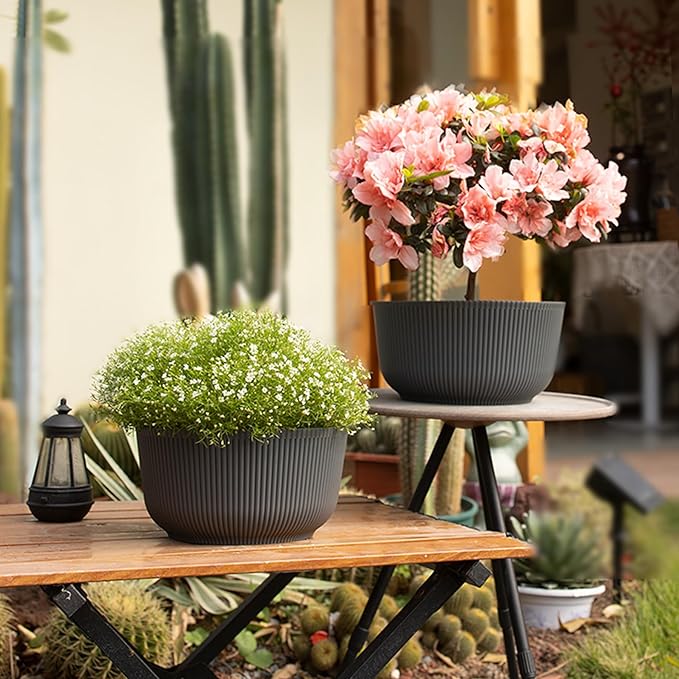 T4U 8 Inch Plant Pots, 2 Pack Self Watering Planter with Drainage Hole, Shallow Plant Pot Indoor, Home Decor Flower Pots for Plants, Cactus, Garden, Gray