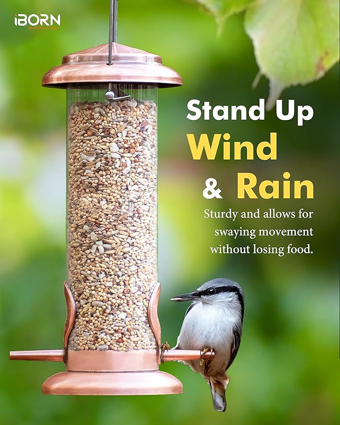 iBorn Metal Bird Feeder Hanging Wild Bird Feeders for Mix Seed Blends Heavy Duty All Metal Finishing, Copper Finish, 8 Inch 2 Port (Seed is not Included)